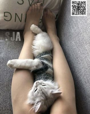 一个人总偷偷看你_HDHD在线观看