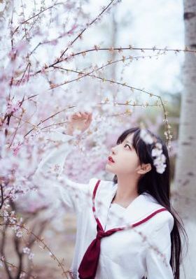 新加坡一级毛片_欧美在线观看